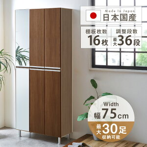 C V[Y{bNX nC^Cv V[YbN 185cm 75cm s31cm ʔ e [I CI ֎[ k Iׂ5^Cv ~[ 