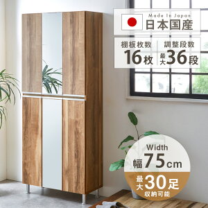 C V[Y{bNX nC^Cv V[YbN 185cm 75cm s31cm ʔ e [I CI ֎[ k Iׂ5^Cv ~[ 