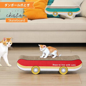 L@܂Ƃ@_{[@CeA@@XP{[@o[Vu@2ʁ@yz@Vg@O[@bh@v[g@qL