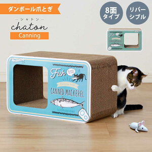 lR@܌@i{[@L@܂Ƃ@@@CeA@ʋl@yz@Vg@8ʁ@o[Vu@u[@O[@JCC