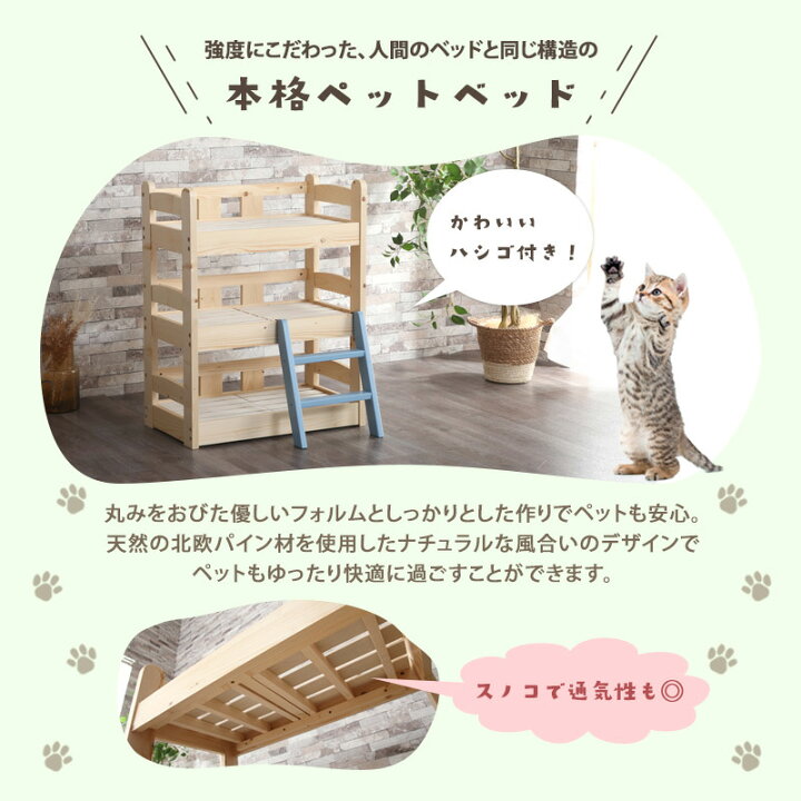 楽天市場】エントリーP10倍&クーポン19日20時☆ ペットベッド キャット 