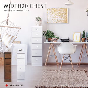 1I10%offN[| `FXg X`FXg Ԏ[ 4i k  킢 { Y 20cm   F s40cm o rO[ ֎[ Lb`[ q  