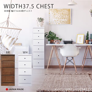 1I10%offN[| `FXg X`FXg Ԏ[ 4i k  킢 { Y 37.5cm   F s40cm o rO[ ֎[ Lb`[ q 