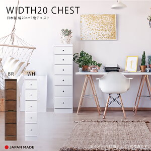 1I10%offN[| `FXg X`FXg Ԏ[ 5i k  킢 { Y 20cm   F s40cm o rO[ ֎[ Lb`[ q  