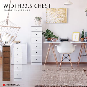 `FXg X`FXg Ԏ[ 5i k  킢 { Y 22.5cm   F s40cm o rO[ ֎[ Lb`[ q  zCg uE