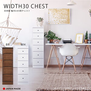 1I10%offN[| `FXg X`FXg Ԏ[ 5i k  킢 { Y 30cm   F s40cm o rO[ ֎[ Lb`[ q  