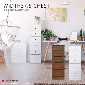 1I10%offN[| `FXg X`FXg Ԏ[ 5i k  킢 { Y 37.5cm   F s40cm o rO[ ֎[ Lb`[ q 