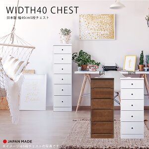 1I10%offN[| `FXg X`FXg Ԏ[ 5i k  킢 { Y 40cm   F s40cm o rO[ ֎[ Lb`[ q  