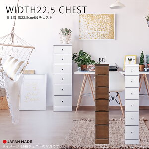 1I10%offN[| `FXg X`FXg Ԏ[ 6i k  킢 { Y 22.5cm   F s40cm o rO[ ֎[ Lb`[ q 