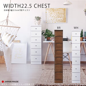 5%offN[|zz `FXg X`FXg Ԏ[ 7i k  킢 { Y 22.5cm   F s40cm o rO[ ֎[ Lb`[ q  z