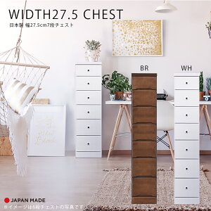 `FXg X`FXg Ԏ[ 7i k  킢 { Y 27.5cm   F s40cm o rO[ ֎[ Lb`[ q  zCg uE