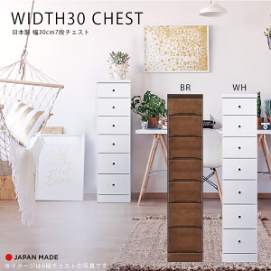 1I10%offN[| `FXg X`FXg Ԏ[ 7i k  킢{ Y 30cm   F s40cm o rO[ ֎[ Lb`[ q  