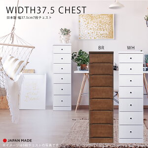 1I10%offN[| `FXg X`FXg Ԏ[ 7i k  킢 { Y 37.5cm   F s40cm o rO[ ֎[ Lb`[ q 