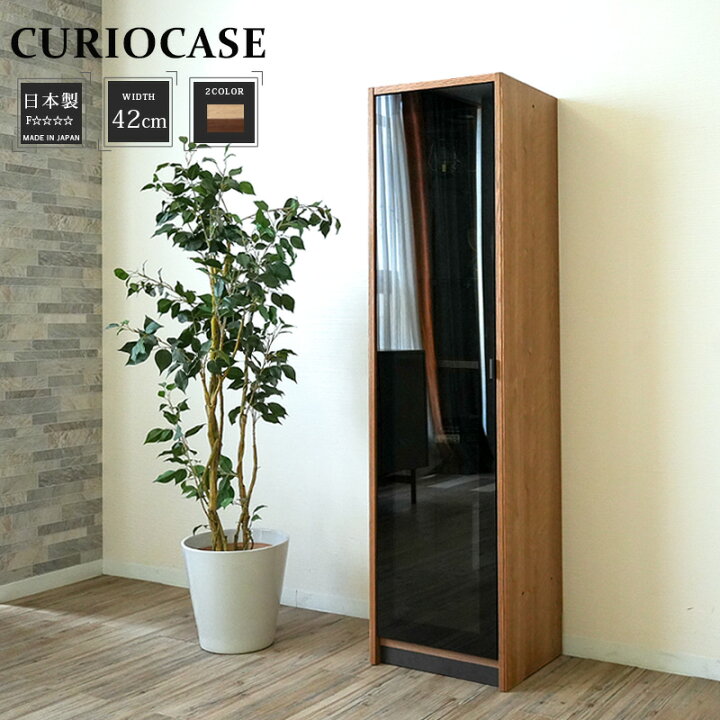 楽天市場】5%offクーポン配布中 キュリオケース コレクションボード 