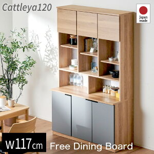 37%OFF 12/4 20JnHI Y 120 t[{[h Lb`[ Jbv{[h Lb`{[h i X Lb` [ I bN H Lb`bN 60cm Lb`Lrlbg X