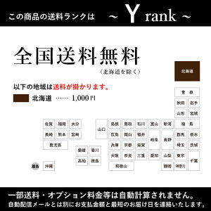 期間限定お得期間中★学習チェア選べる5カラーキッズ子供部屋レーシングチェアSennaセナデスクチェアキャスター付きカラフルかっこいいクール勉強机イス男の子女の子ブラックo50s
