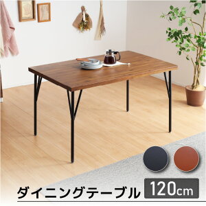 56%OFF 12/4 20Jn_CjOe[u 120 e[u Pi 4lp rO _CjO ؐ VR C AJVA Be[W ACA C_XgA He[u JtFe[u