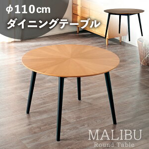 r[TI _CjOe[u ۃe[u 110cm Pi ~  Vv k JtF Ehe[u ؐ VR ی^  ~ ~` He[u rO _Cj