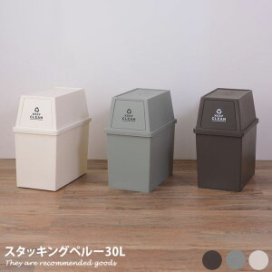 yN[|14OFF! 11/8 0:00~23:59܂ŁzS~ _Xg{bNX X^bLOy[ 30L tbv^Cv G CeA LX^[t { Vv k RpNg ȃXy[X GR 