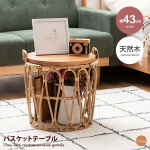 yMAX50OFF! 11/4 20:00~20:59܂ŁzTCh iCg ~je[u JS oXPbg CeA R VR ؐ ؖ Ebh 60cm  ~ Eh RpNg   [t Q x