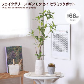 【クーポンで14％OFF！3/30 0:00~23:59限定！】観葉植物 雑貨 インテリア フェイクグリーン ギンモクセイ インテリアグリーン グリーン おしゃれ 人気 新生活 ポット セラミックポット 鉢 植木鉢 グリーンポット 幅26 人工植物 人工グリーン 初心者