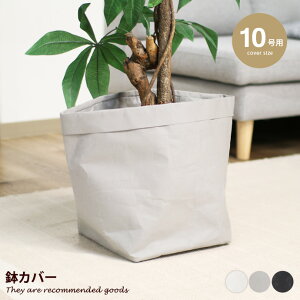 yMAX50OFF! 11/30 0:00 ~ 23:59܂ŁzG Lb` Jo[ v^[Jo[  |bgJo[  10 10p y y mg[J[  Ntgy[p[ ϗtA 25 