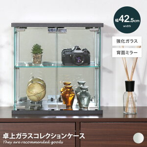 yMAX50OFF! 11/30 0:00 ~ 23:59܂ŁzRNVP[X  KXP[X fBXvC[ V[P[X RN^[ VFt KXI I RpNg X wʃ~[  NA 