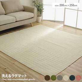 【クーポンで13％OFF！3/6 00:00~23:59限定！】ラグ ラグマット マット カーペット 絨毯 洗える 春 夏 秋 冬 オールシーズン 200×250 長方形 ウォッシャブル 床暖房対応 洗えるラグ リビング
