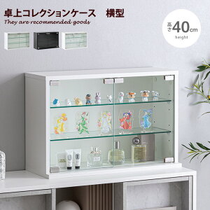 yMAX50OFF! 11/10 0:00 ~ 11/11 1:59܂ŁzGrami O~ RNVP[X fBXvC[ V[P[X ^ ^ RN^[ VFt KXI bN Lrlbg tBMA v