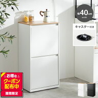 ゴミ箱 ダストボックス 分別 二段 15L 20L 縦型 フラップ式 キッチン 台所 ゴミ袋 収納 スリム コンパク…