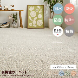 ラグ 江戸間6帖 畳 抗菌 防臭 防炎加工 ダニ 撥水 はっ水 防音 子供 キッズ 赤ちゃん ペット 汚れにくい お手入れ簡単 日本製 made in japan ループパイル ホット 床暖房対応 261×352 ふかふか