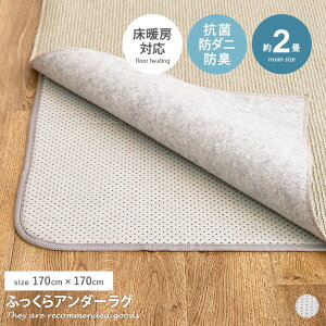 yMAX50OFF! 11/15 0:00 ~ 23:59܂ŁzO J[ybg O}bg A_[O ~ O x[XO 2 ʊ~ h hL h_j R zbgJ[ybgΉ g[Ή ӂ 