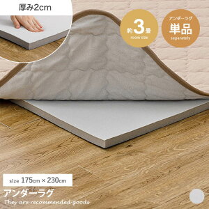 yMAX50OFF! 11/4 20:00~20:59܂ŁzO J[ybg O}bg A_[O ~ 3  ϋv h  YȂ Yh~  ӂ ׂ~ {[Abv ` 175×230