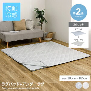 yMAX50OFF! 11/4 20:00~20:59܂ŁzO J[ybg O}bg A_[O ~ Opbh O~ ~ OZbg }bg Ђ胉O Ђ}bg ⊴O ⊴}bg ėpO 2 