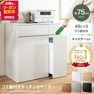 【MAX50％OFF! 6/10 0:00 ~6/11 1:59まで★】ゴミ箱 分別 45リットル 45L ダストボックス キッチンカウン…