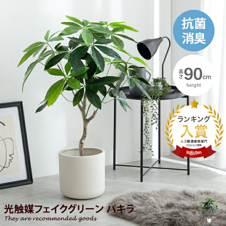 楽天市場】【MAX50％OFF! 4/5 20:00 ~ 23:59まで☆】Nature ナチュレ 