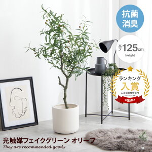 yN[|14OFF! 11/26 0:00 ~ 11/27 1:59܂ŁzϗtA I[u tFCNO[ lH  rO ItBX l炵  Nature i` CeA G} C L R h 