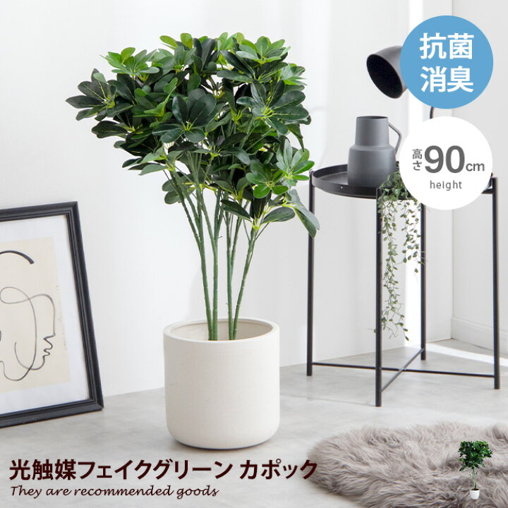 楽天市場】【クーポンで13％OFF☆4/8 0:00~23:59まで！】Nature 