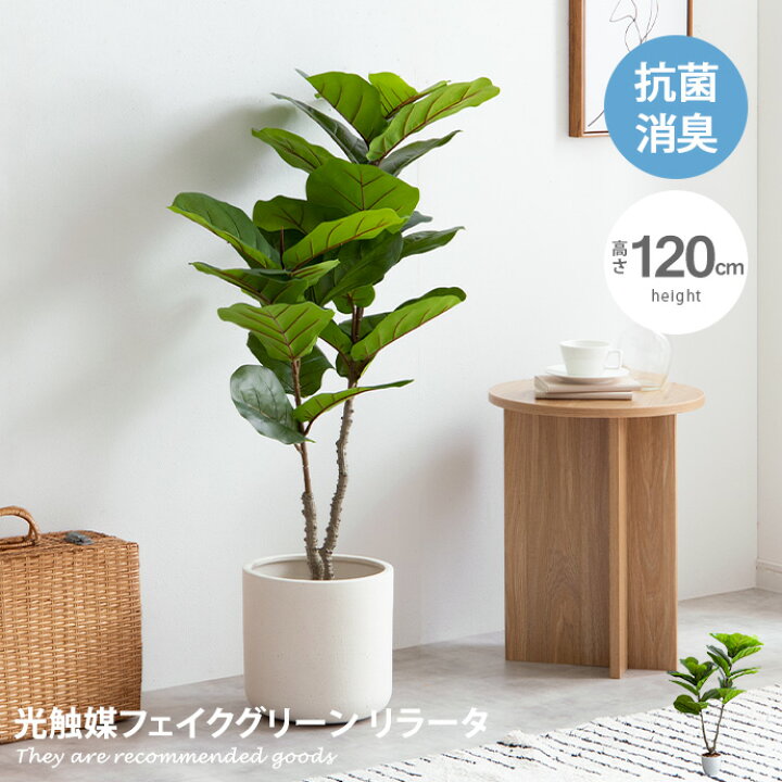 楽天市場】【クーポンで13％OFF☆4/8 0:00~23:59まで！】Nature 