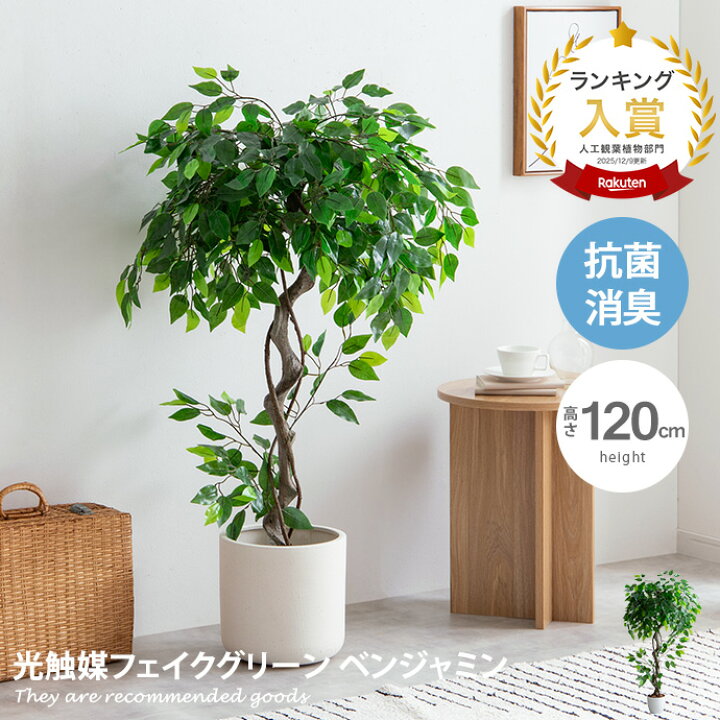楽天市場】【クーポンで13％OFF☆5/1 0:00~23:59まで！】Nature  