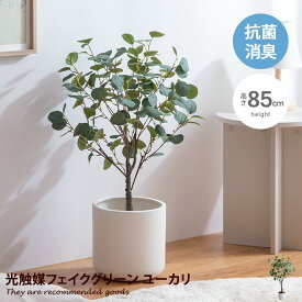 【MAX50%OFF!6/4・6/5 各20：00～配布★】Nature ナチュレ 観葉植物 ユーカリ フェイクグリーン 人工 室内 リビング オフィス 一人暮らし 緑 インテリア インテリアグリーン 光触媒 空気清浄 消臭 抗菌 防汚 ホルムアルデヒド分解 おしゃれ 高さ85cm 人工 造花 観葉