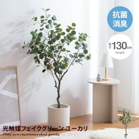 【クーポンで14％OFF！4/26 0:00~4/27 9:59まで】Nature ナチュレ 観葉植物 ユーカリ フェイクグリーン 人工 室内 リビング オフィス 一人暮らし 緑 インテリア インテリアグリーン 光触媒 空気清浄 消臭 抗菌 防汚 ホルムアルデヒド分解 おしゃれ 高さ130cm 人工 造花