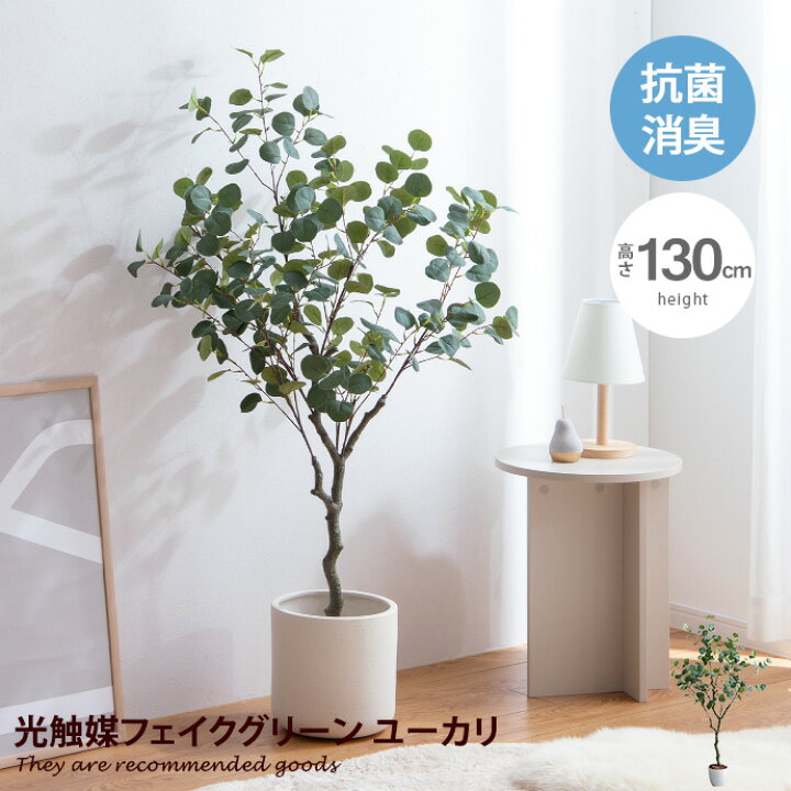 楽天市場】【MAX50％OFF! 7/20 0:00 ~ 23:59まで☆】Nature ナチュレ 