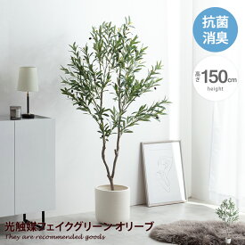 【クーポンで14％OFF！4/26 0:00~4/27 9:59まで！】Nature ナチュレ 観葉植物 オリーブ フェイクグリーン 人工 室内 リビング オフィス 一人暮らし 緑 光触媒 空気清浄 消臭 抗菌 防汚 ホルムアルデヒド分解 高さ150cm 造花 おしゃれ 植木 鉢植え 観賞用 グリーン