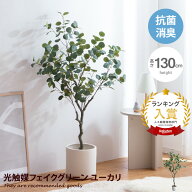 Nature ナチュレ 観葉植物 ユーカリ フェイクグリーン 人工 室内 リビング オフィス 一人暮らし 緑 イン…