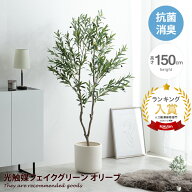 Nature ナチュレ 観葉植物 オリーブ フェイクグリーン 人工 室内 リビング オフィス 一人暮らし 緑 光触…