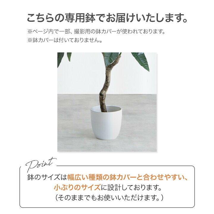 楽天市場】【クーポンで14％OFF! 7/8 0:00~23:59まで☆】Nature 