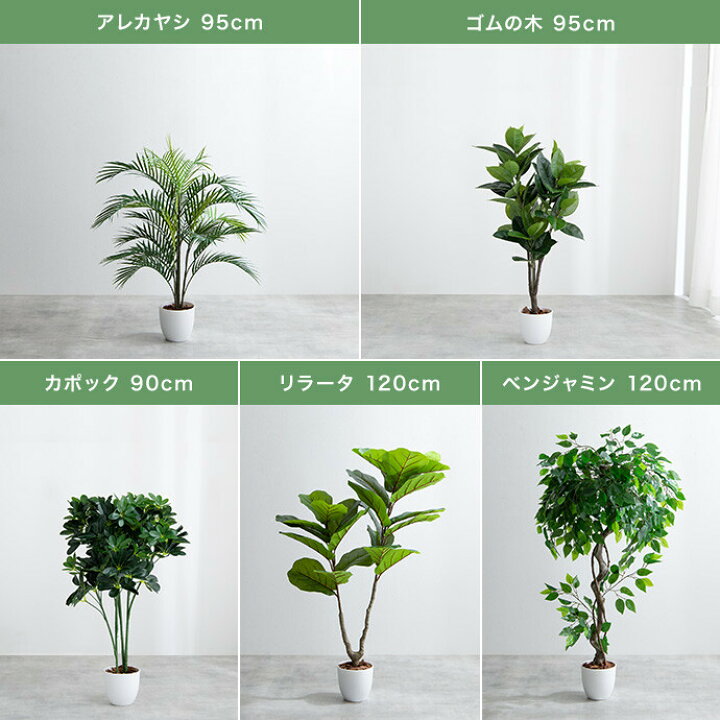 楽天市場】【MAX50％OFF! 4/5 20:00 ~ 23:59まで☆】Nature ナチュレ 