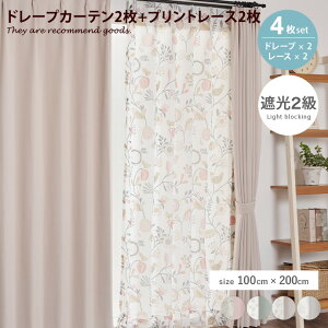 yMAX50OFF! 11/15 0:00 ~ 23:59܂ŁzJ[e h[v [X 4g 4_Zbg Ռ 2 n n fUC vg ԕ R Roi O[u mfB ubg  [t AWX^[ 