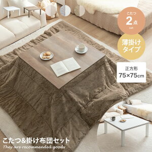 yMAX50OFF! 11/20 0:00 ~ 23:59܂ŁzZbg e[u zc 2_Zbg x  ` o[Vu ѕz |zc | y ې 􂦂 | l炵 RpNg tFCNr